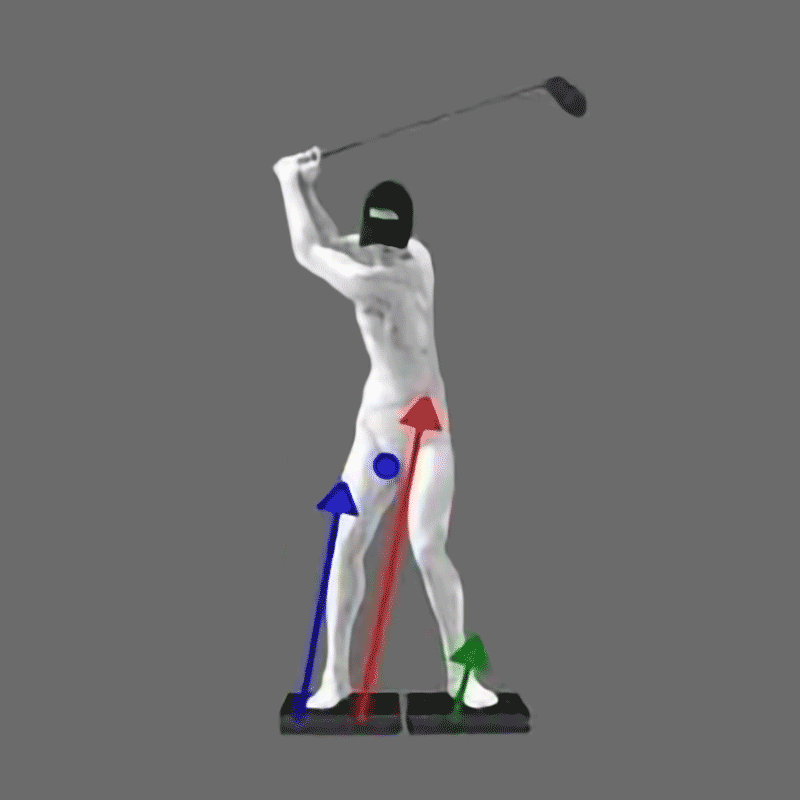 Steve Gould - Biomechanics consultant